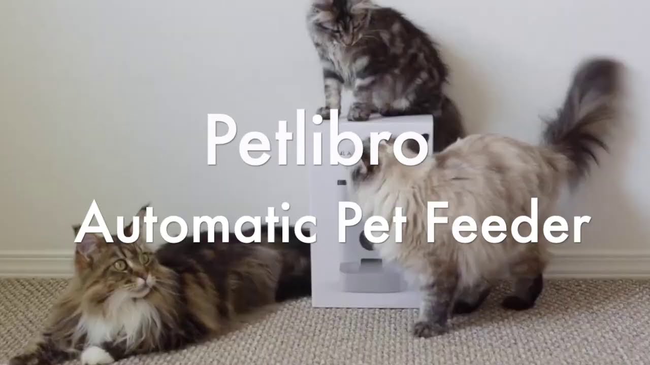 PETLIBRO Essential Automatic Feeder Feed your Pets automatically even when you are outside