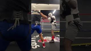 Richard Commey sparring Alex Vargas in preparation for Vasyl Lomachenko