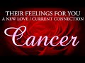 CANCER love tarot ♋️ This Person Wants You Cancer But This Situation Needs More Time