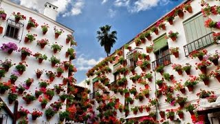 Цветочный фестиваль в Кордове, Испания.