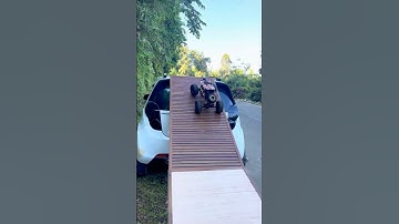 RC Trucks vs Mega Car Ramp Challenge! 🚗🔥 Extreme Climb Test!