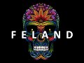 FELAND ACCESORIES S.A.S.