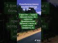 5 Интересных фактов про знак зодиака РАК #shorts