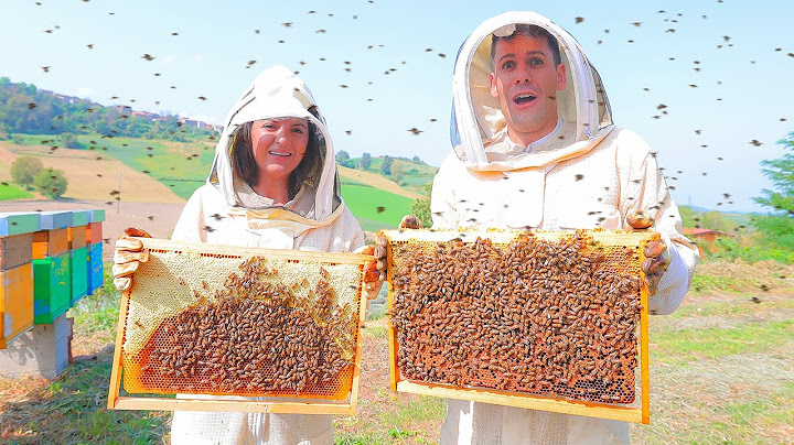 Sofì e Luì con le API 🐝