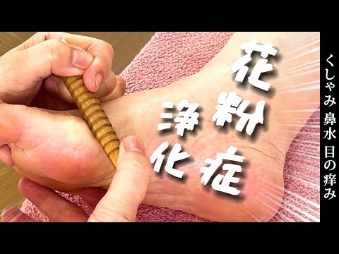 重症すぎて辛い《花粉症》効果的なポイント4つ攻める【ゴリゴリ足ツボ 4K】