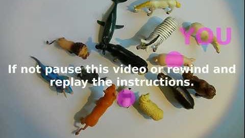 Exercise 3 of 6 - Crowd Dynamics Instruction Video