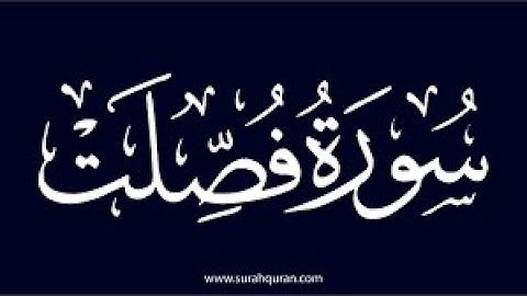 2 - سورة فصلت 25 -43