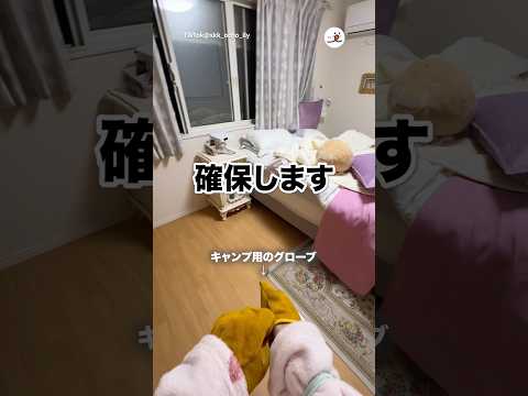 地域猫から家猫になった｜PECO