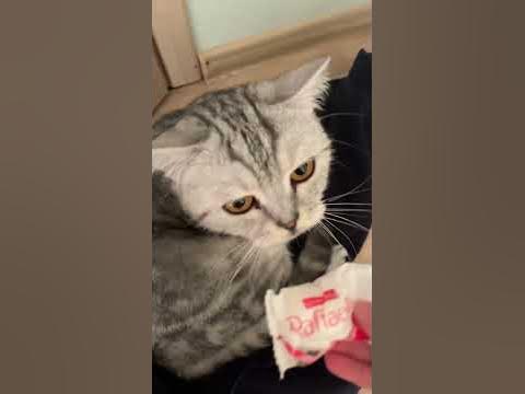 В носик тебе пун ,,пун’’😂☺️ - YouTube