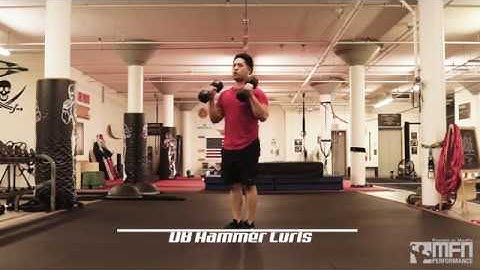 Dumbbell Hammer Curl - MFN Performance/MikeFit.com