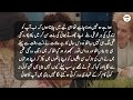 Baiwa behan emotional and heart touching real story  kitab stories latest