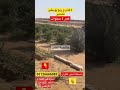 ٤ فدان و ربع ملك مزرعة بوسفى مراف تصدير بالعاشر من رمضان 