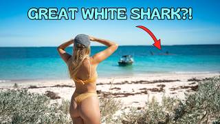 We Didn't Know You Got These On The Ningaloo? Insane Remote Camping and Fishing