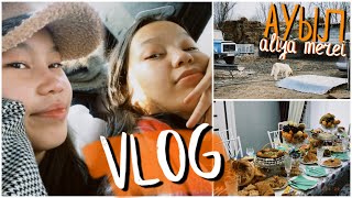 VLOG:Ауыл ВАЙБ✨🧡/ВЛОГ Алия Мерей