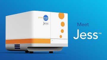 Meet Jess: an Automated Western Blot System