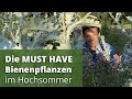 MUST HAVE Bienen- Insektenpflanzen im Hochsommer