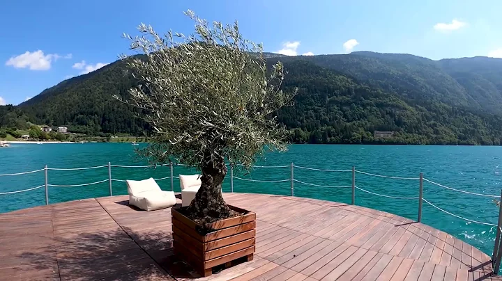 Bird Songs on the Moraine Lake, Canada - Nature Relaxation Video in 4K Ultra HD - 3 Hour