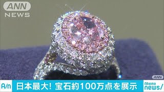 8億円のダイヤに3000万円の眼鏡　日本最大の宝飾展(18/01/24)