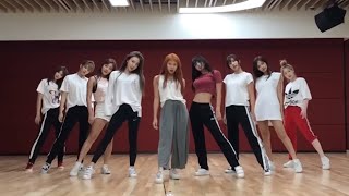 TWICE - ‘Dance the Night Away’ (1,3절) Dance Practice Mirrored