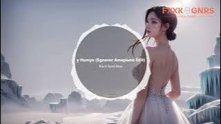 My Humps - Black Eyed Peas (Egnever Amapiano Remix)