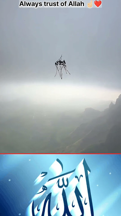 Always trust on Allah ☝🏻❤️ |