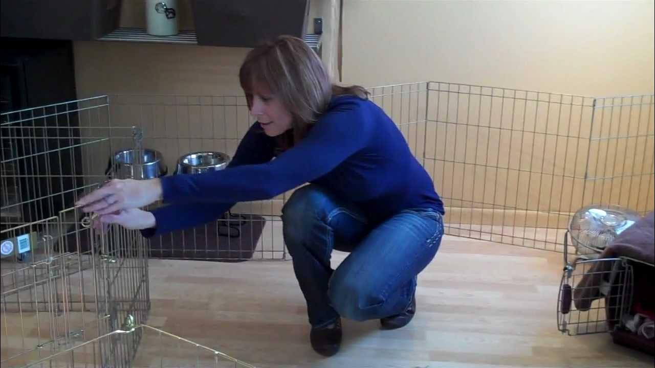 Just Paws Training xpens, crates & confinment.MP4 YouTube