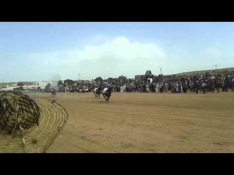 مهرجان سيدي تليل بتونس