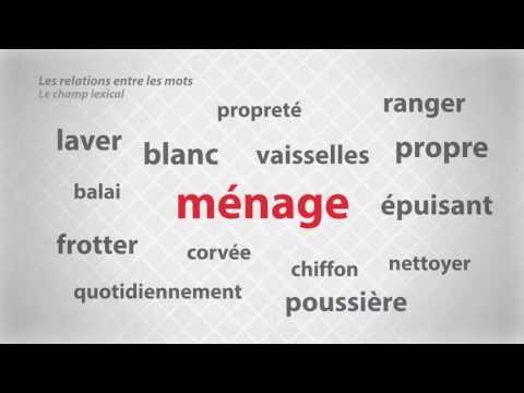 Les relations entre les mots - Le champ lexical