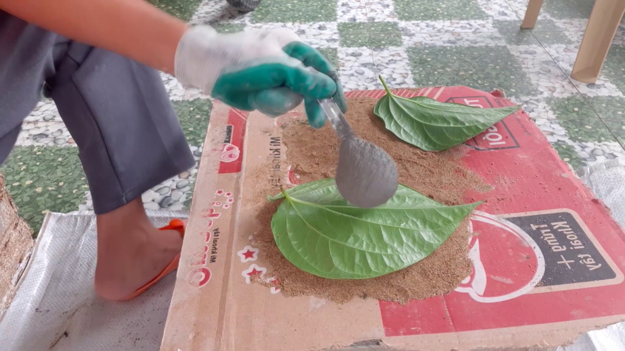 Cement Craft Ideas - Amazing Ideas Making Leaf Plate From Sand and