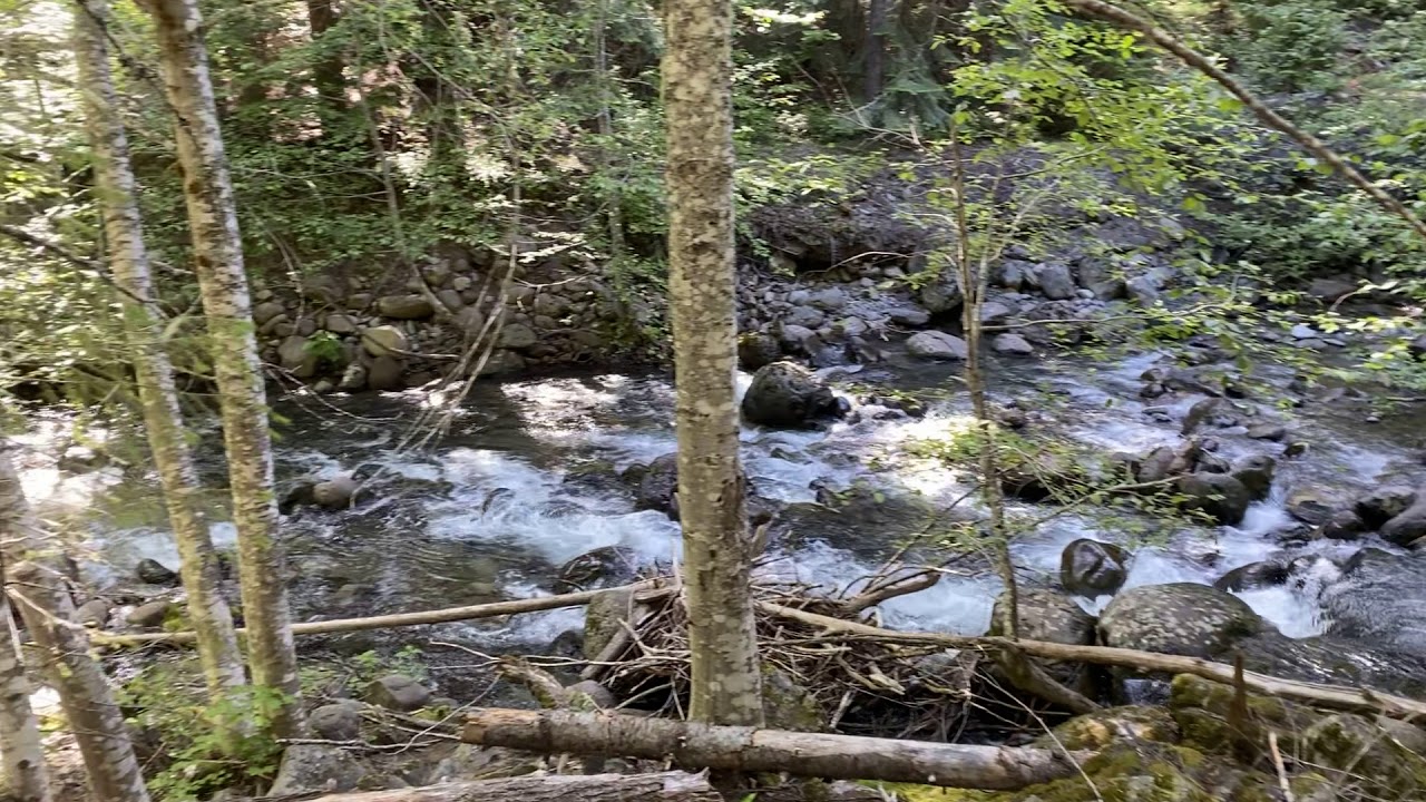 Video of Kachess Lake Campground, WA from Ben S.