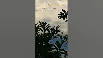 Sadsong Brokenstatus 