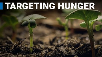 Targeting Hunger with Nuclear Techniques