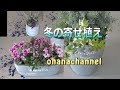 冬の寄せ植え❄3タイプ 3 Types Winter Container ideas