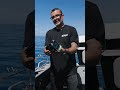 Seavu Explorer Kit: The Ultimate Tool for Underwater Enthusiasts #underwater #fishing