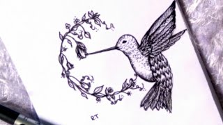 How to draw a humming bird  step by step... رسم طائر الطنان بطريقه سهله جدا