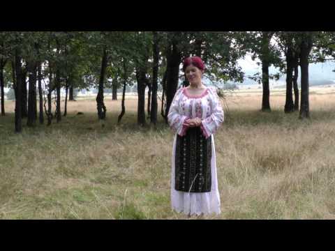 Reli Gherghescu - N-are nana ibovnica (Official Video)