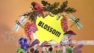 James Taylor - Blossom One In Ten, 9871