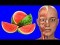 ¿Qué ocurriría en tu CUERPO si comienzas a comer SANDÍA cada día?🍉