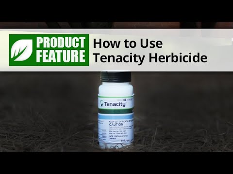 Video: Berm herbicido taikymas: informacija apie bermų piktžolių kontrolę
