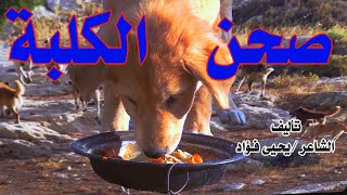 صحن الكلبة /شوف الحلقة للاخر/ مع صعايدة معلش والشاعر /يحيى فؤاد