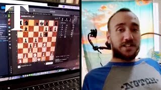 Brain chip patient plays online chess with his thoughts