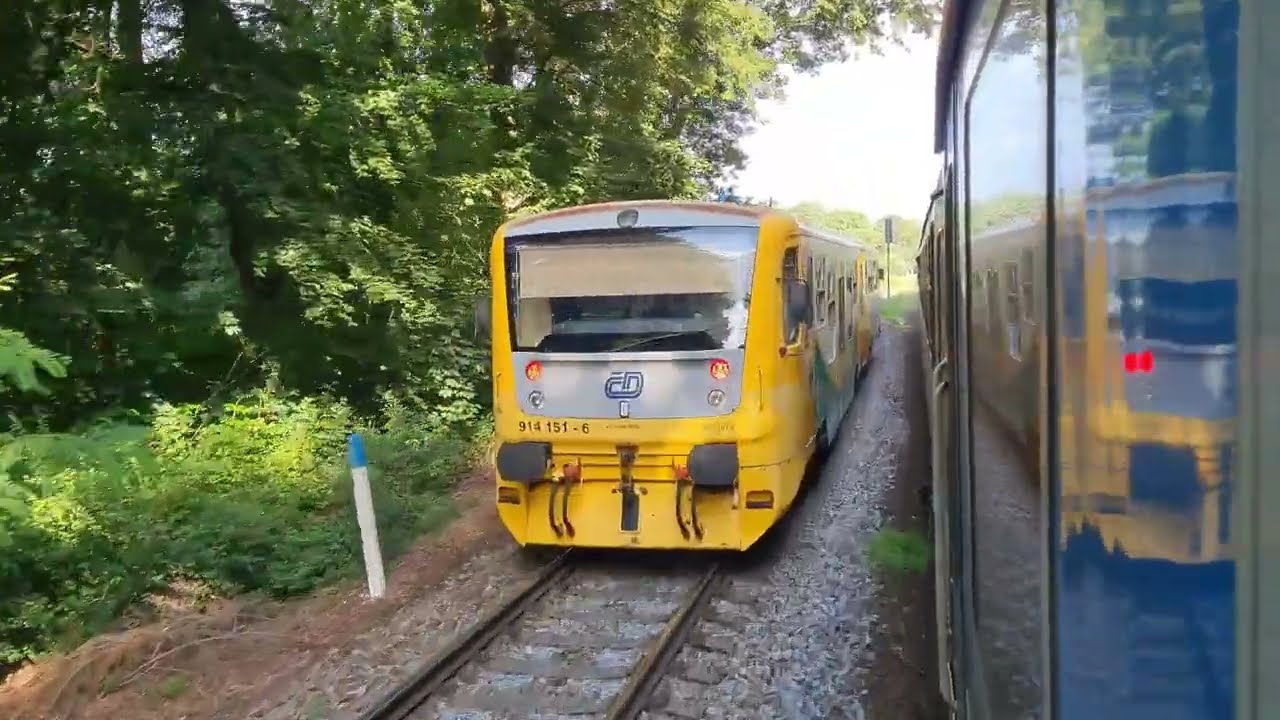 Výlety s Hydrou 13 díl Bohunkou z Doudleb nad Orlicí do Lukavic v Čechách (29.7.2025)