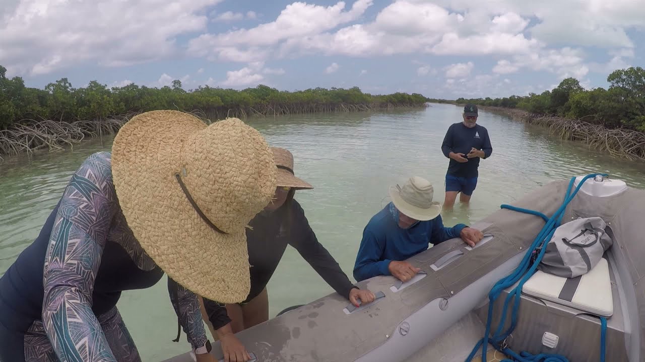 Shroud Cay Creek Dinghy Adventure