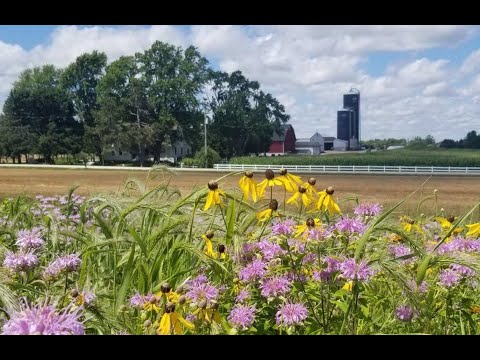 Prairie Strips Virtual Field Day Webinar