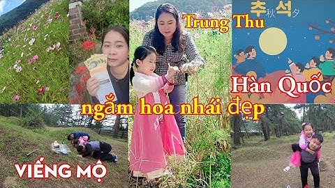 🇻🇳🇰🇷#109 | Trung Thu của người Hàn Quốc diễn ra như thế nào? vui Trung Thu của gia đình Việt Hàn