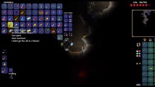 Finding An Arkhalis In Terraria