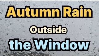 Autumn Rain 가을비/빗소리/릴렉스/잠오는 빗소리/창 밖의 빗소리/마음의 안정/Relax/Rain Sounds/