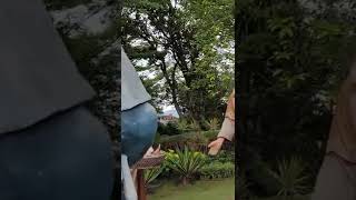 Indah dan Sejuk, Wisata Ziarah Rohani Umat Katolik Gua Maria Kerep Ambarawa, Semarang, Jawa Tengah