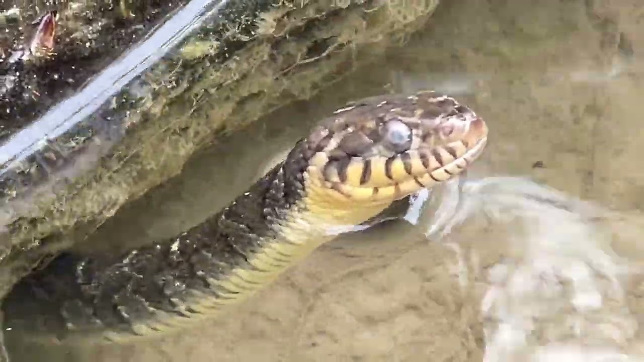 April at Chase County Falls