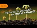 Tévhitek és igazságok az éretté válásról (Növekedés 2)